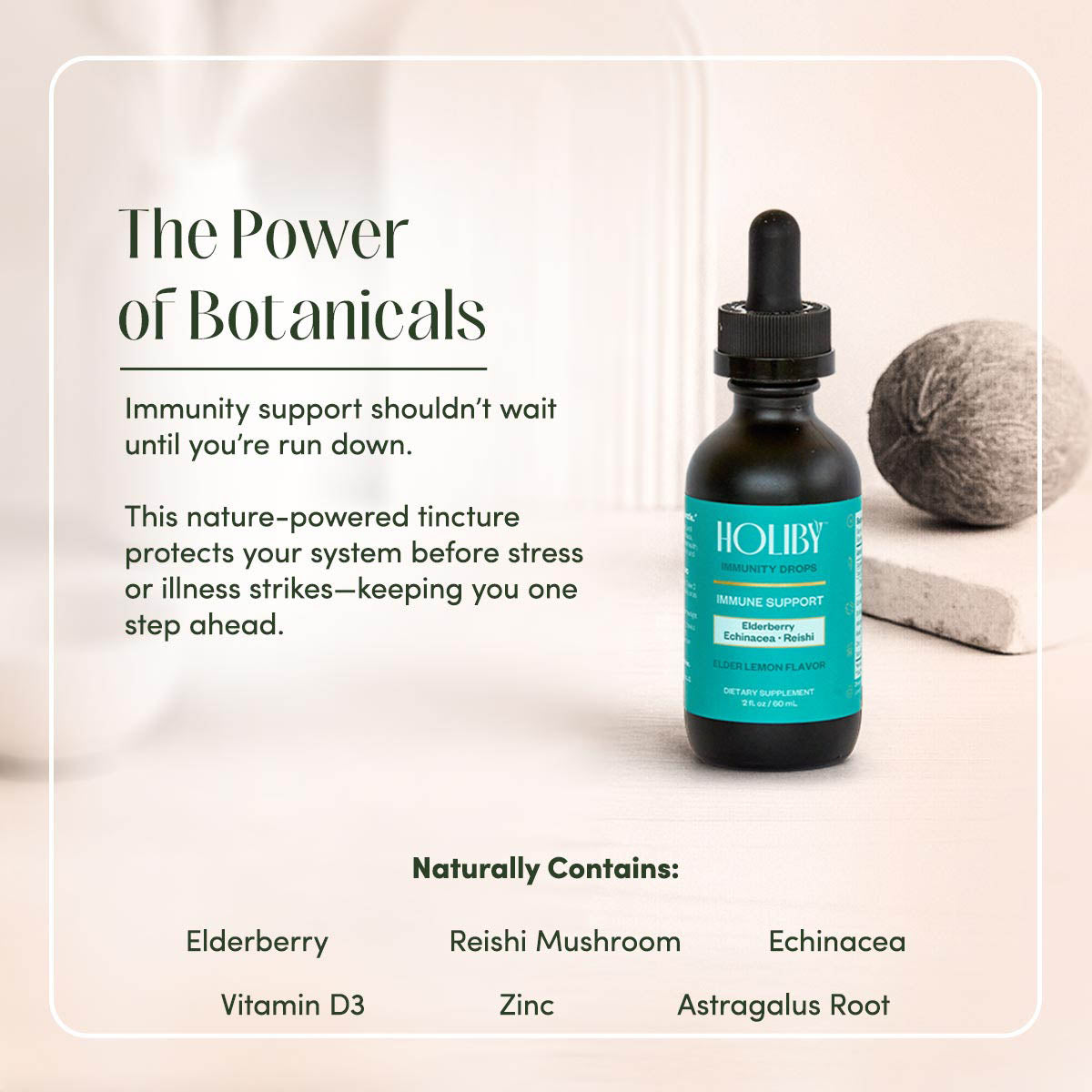 Elderberry Immunity Drops