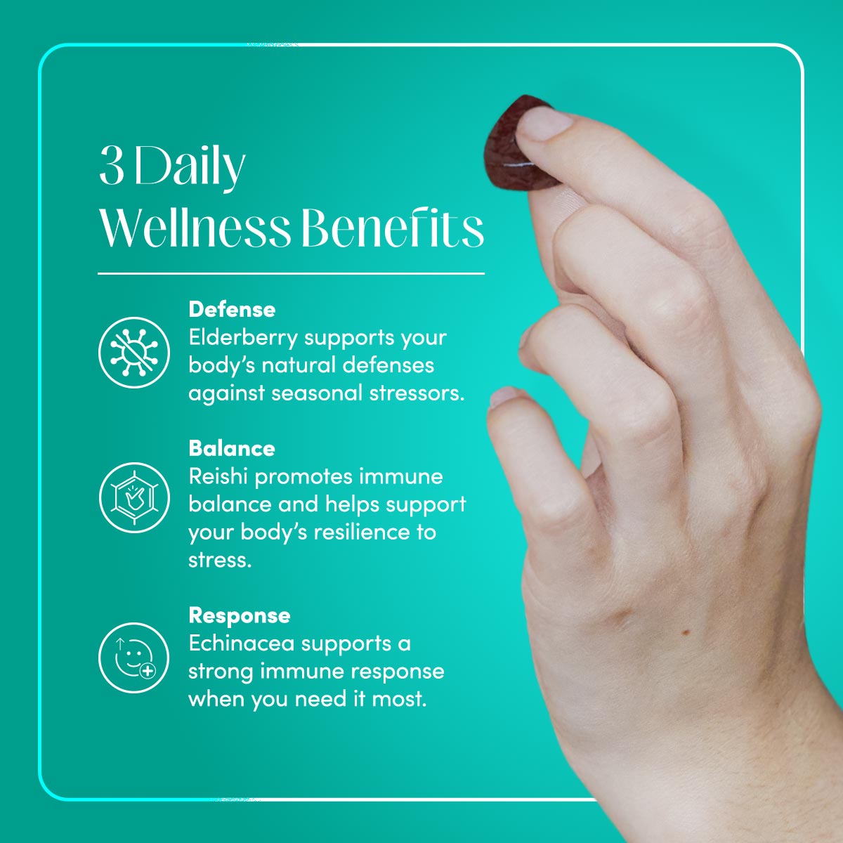 Elderberry Immunity Gummies