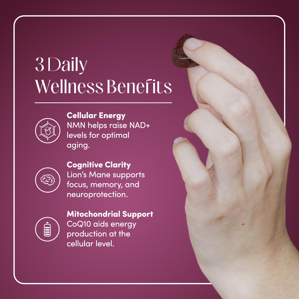 NMN & Lion’s Mane Longevity Gummies