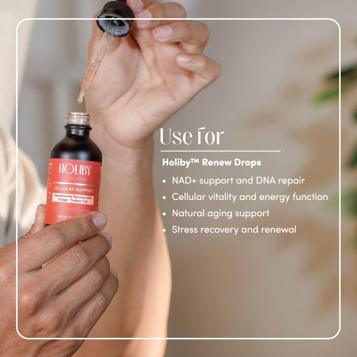 NR & Chaga Renew Drops