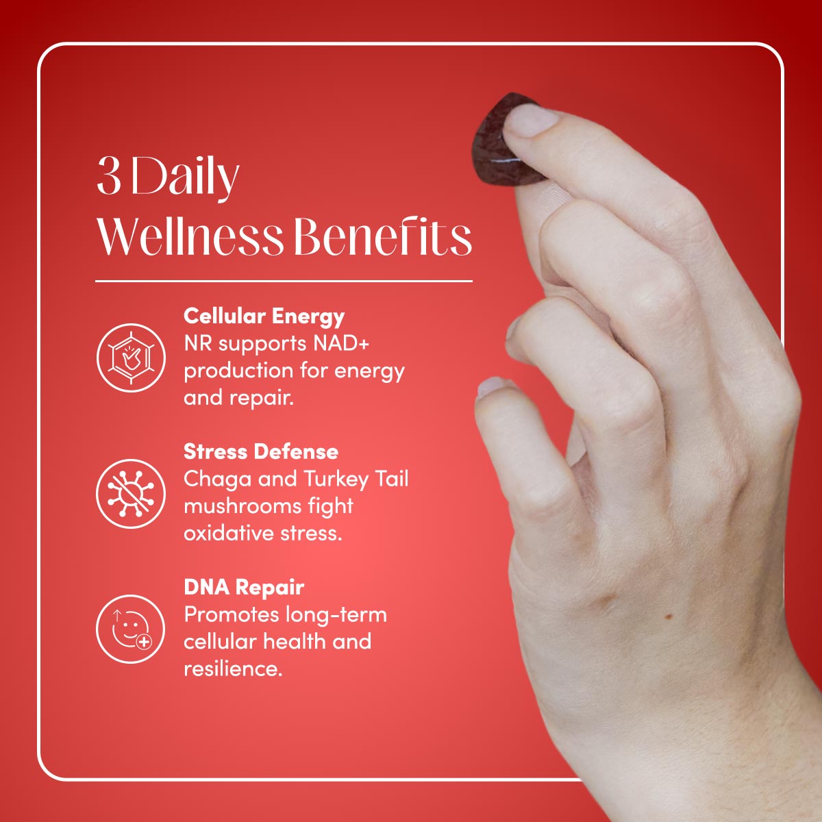 NR & Chaga Renew Gummies