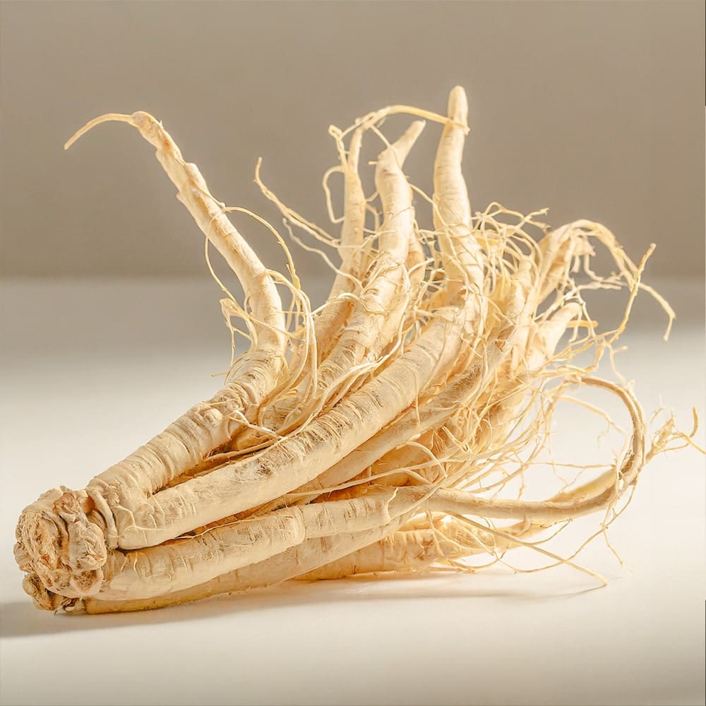 American-Ginseng