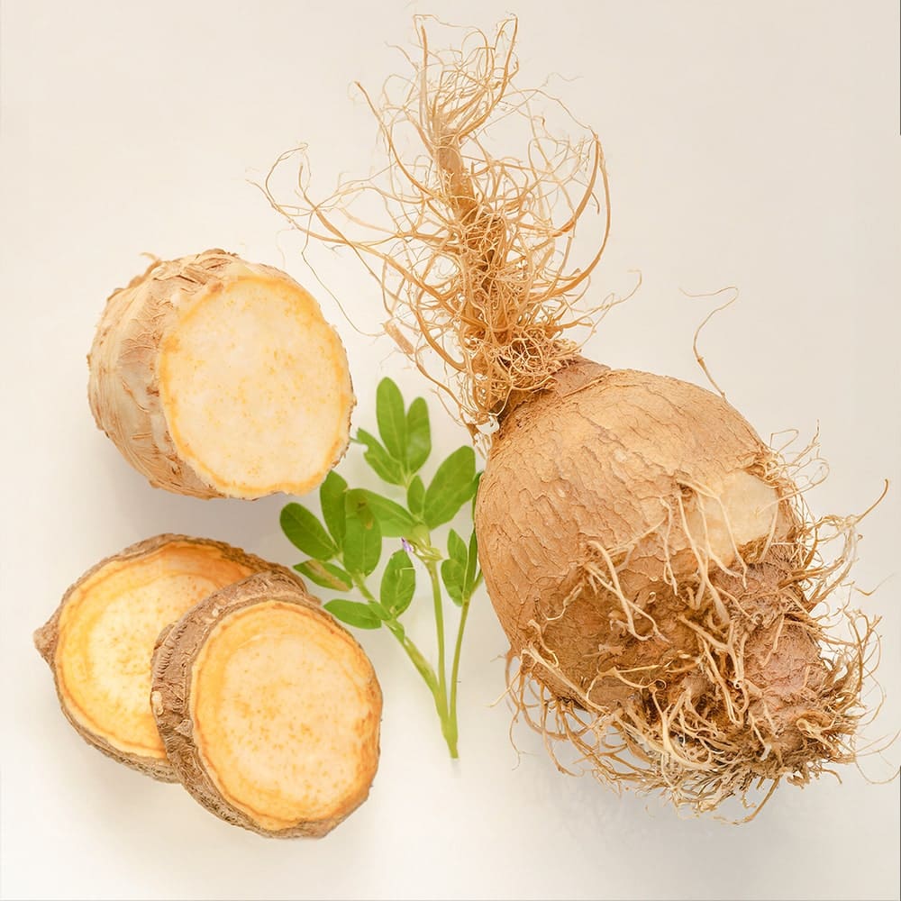 Maca-Root